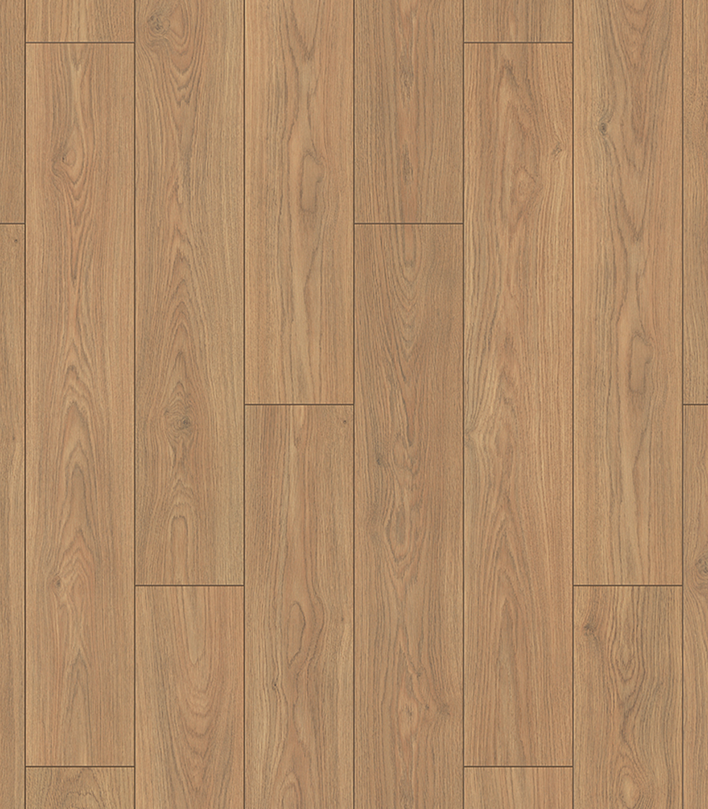 CHARM WIDEK645 HAZEL ALMINA OAK