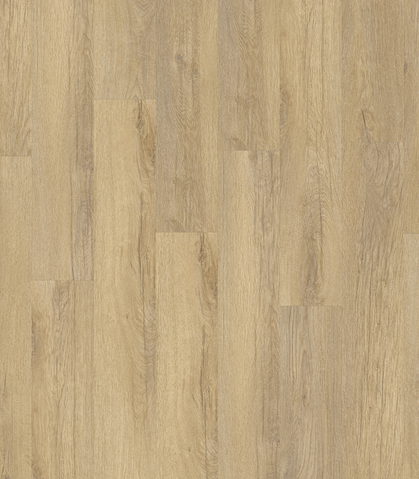 ELEMENTAL89805 STELLATA OAK