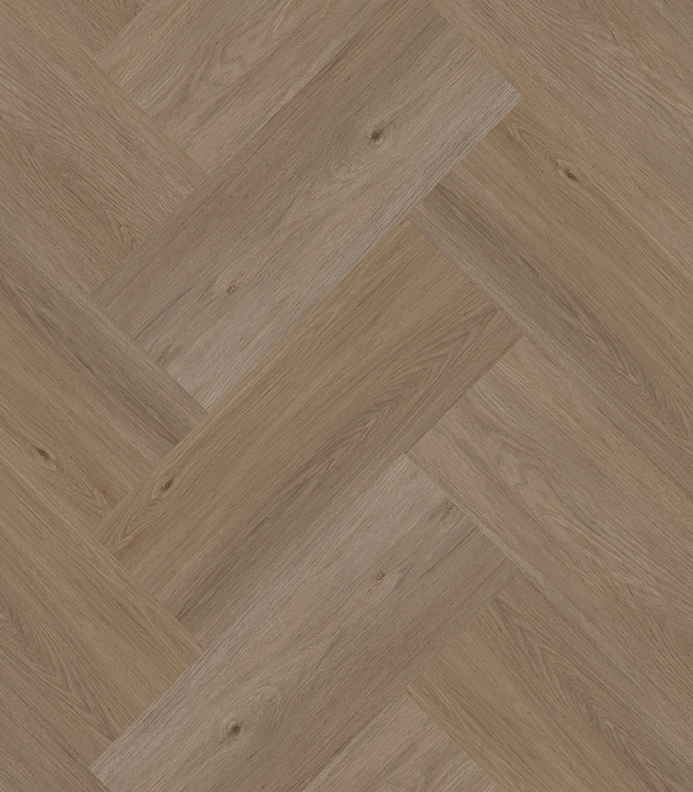 NATURAL LIFE DRYBACKNL 304 DENT DE PERROC