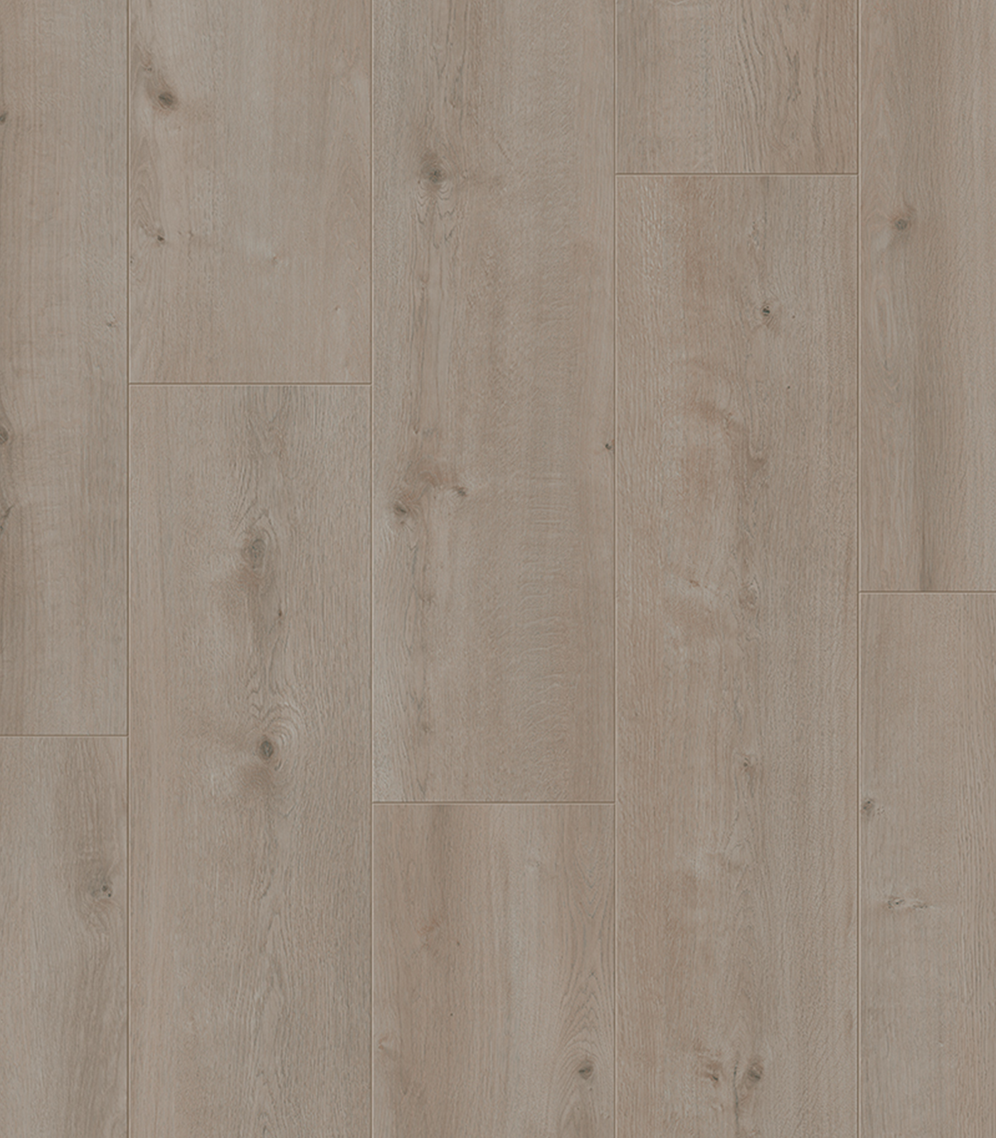 ROSE WIDE HYDRO NW5476