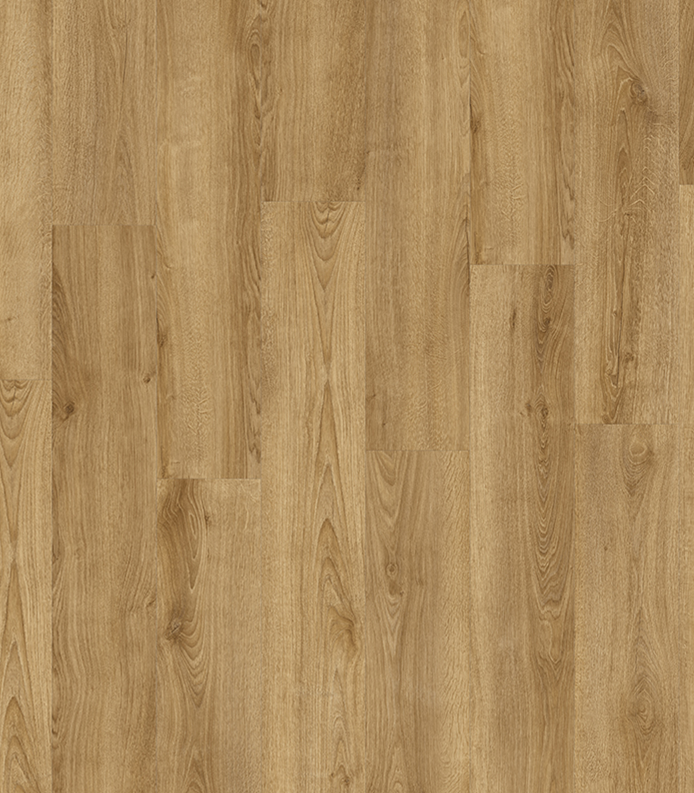 SOLVIERE83853 KENTUCKY OAK