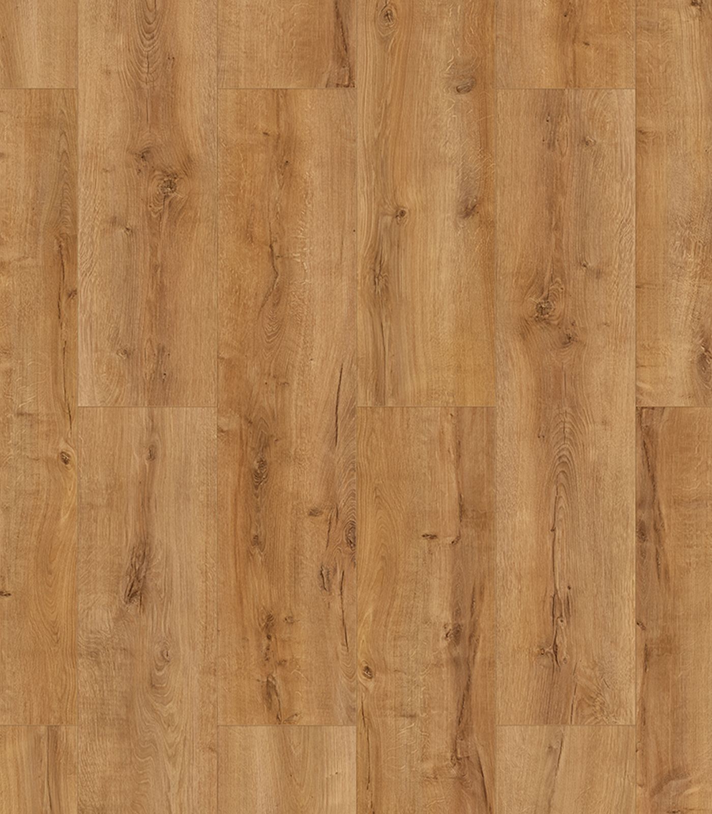 TULIP WIDE55822