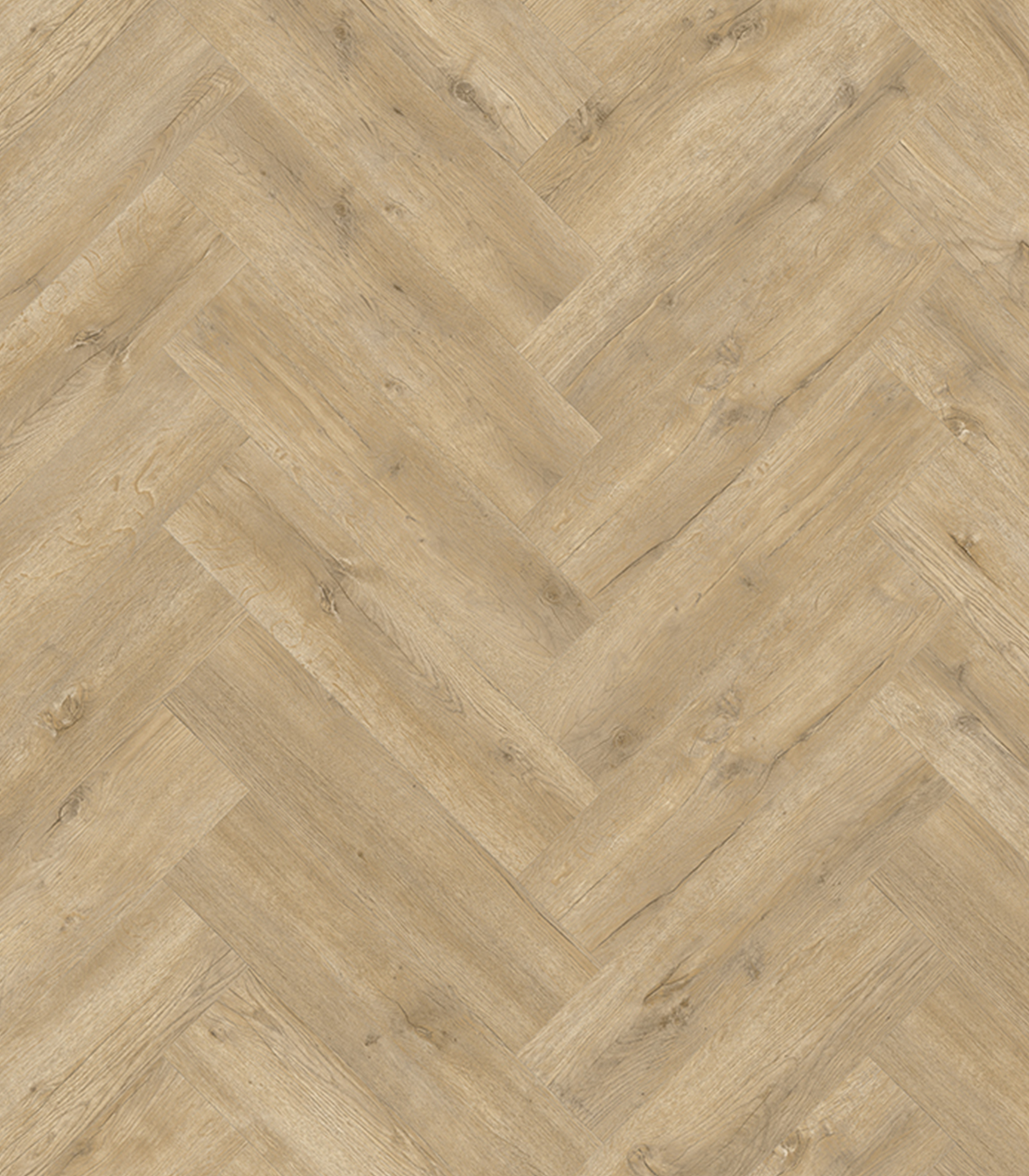 VALENTE HB53452 MAJOR OAK