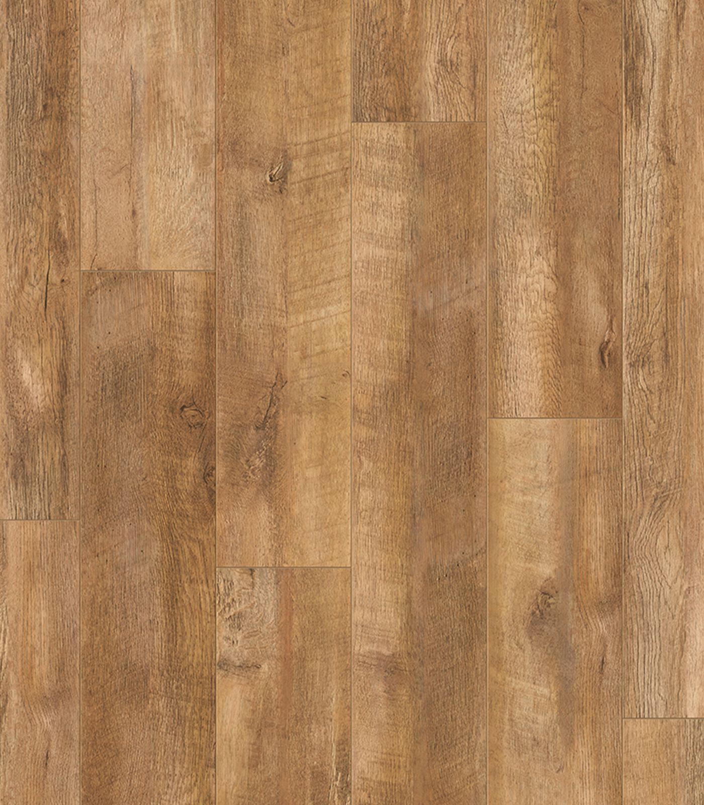 VITALITY STYLE381