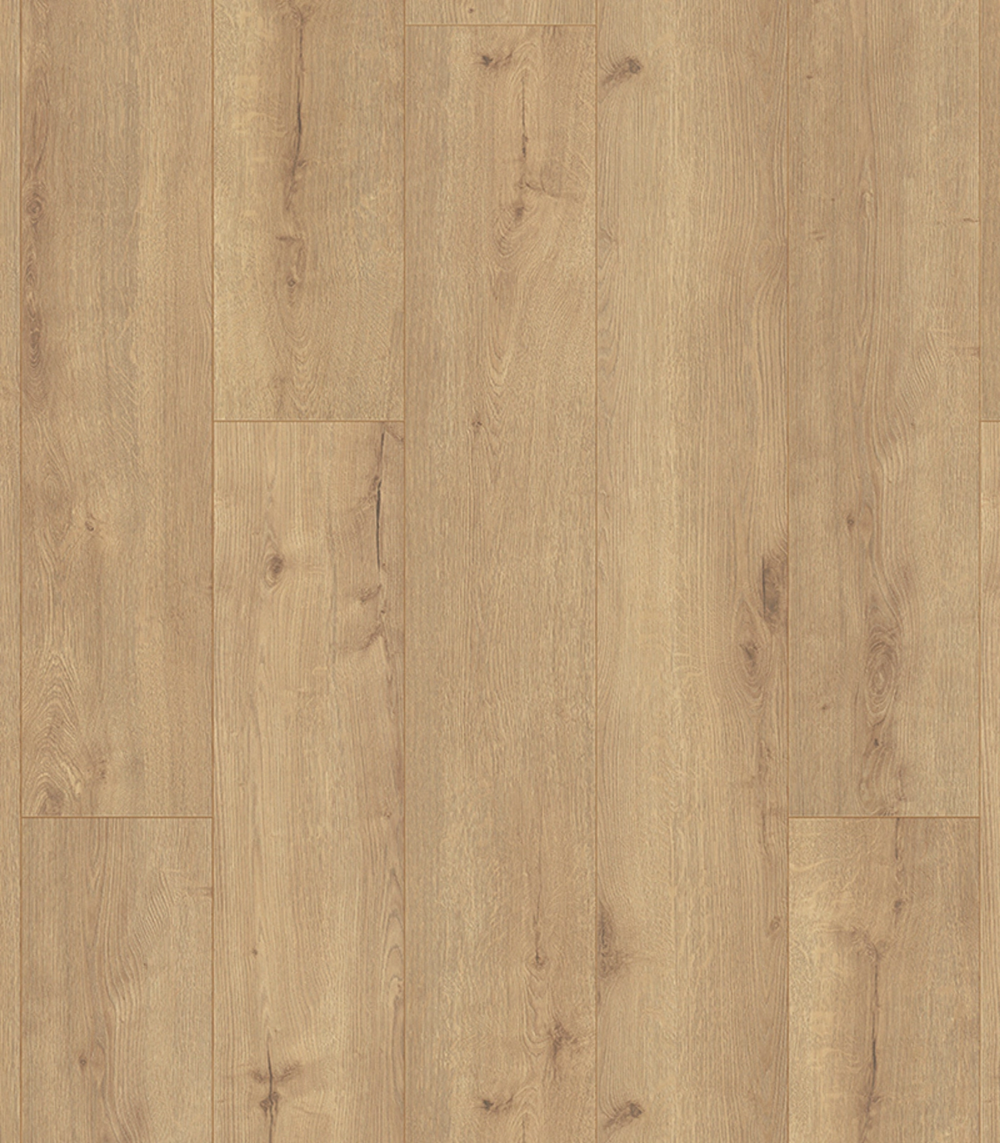 altitudek326 sundance oak_result