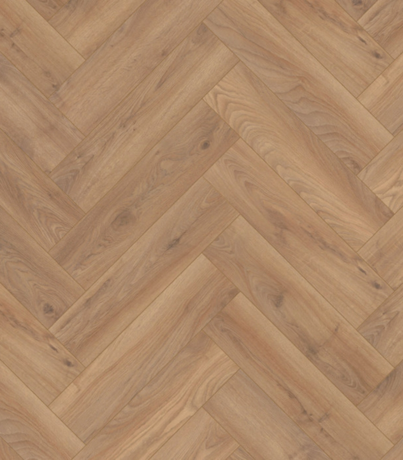 lifestyle interior (1)_result
